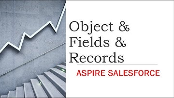 Salesforce Objects, Fields and Records
