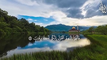يوم نبعث من كل أمة شهيدا | النحل | القارئ محمد الورداني | Mohamed Elwardani