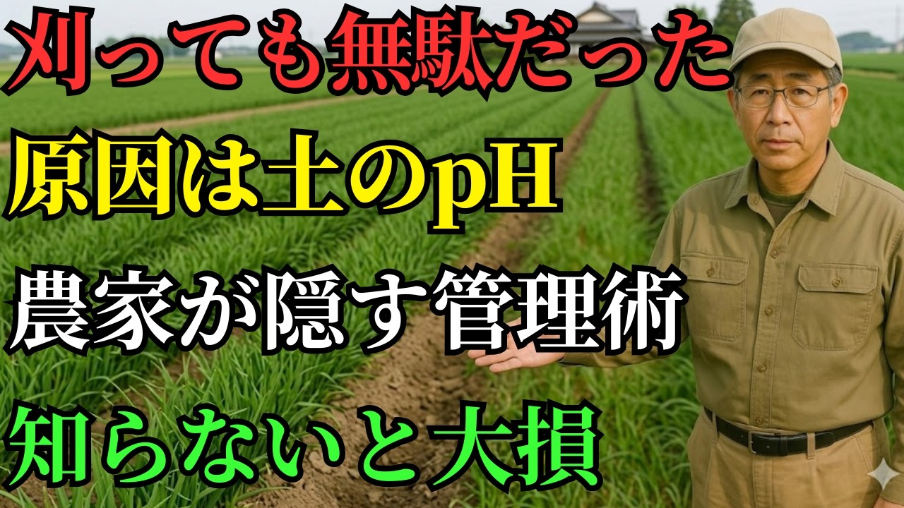 【放置すると増え続ける】刈っても無駄な理由とは？農家が実践する土からの雑草管理法 | 石灰 | pH | 除草剤不要 | 雑草対策