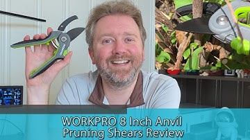 WORKPRO 8 Inch Anvil Pruning Shears Review – Are These the Best Budget Garden Clippers?