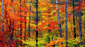 Peace Like A River By The Isaacs nov 2023 Peace Like A River By The Isaacs nov 2023
