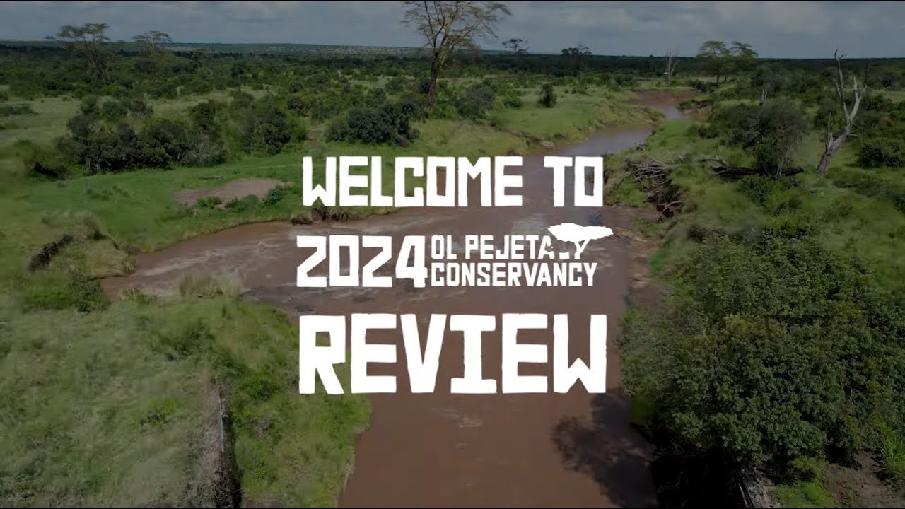 Ol Pejeta Conservancy's 2024 Year in Review