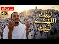 لبيك اللهم لبيك   تكبيرات العشر ذي الحجة  تكبيرات يوم عرفه تكبيرات عيد الأضحى لنجعلها تملأ الدنيا نجومي