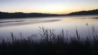 Saturday Morning Lake Narrabeen Walk