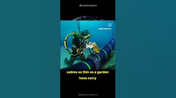 Secret Underwater Internet Highway 🤯 #interestingfacts #education #internet #computerscience #tech