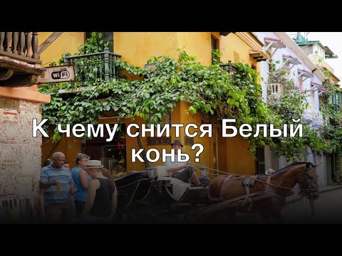 К чему снится белый конь? Толкование сна и его значение по сонникам Ванги и Миллера