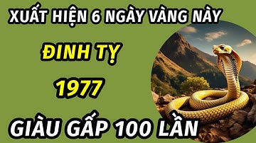 Sự thật bất ngờ cho người tuổi đinh Tỵ 1977 trong 6 ngày vàng tài lộc xoay chiều phất lên như diều 
