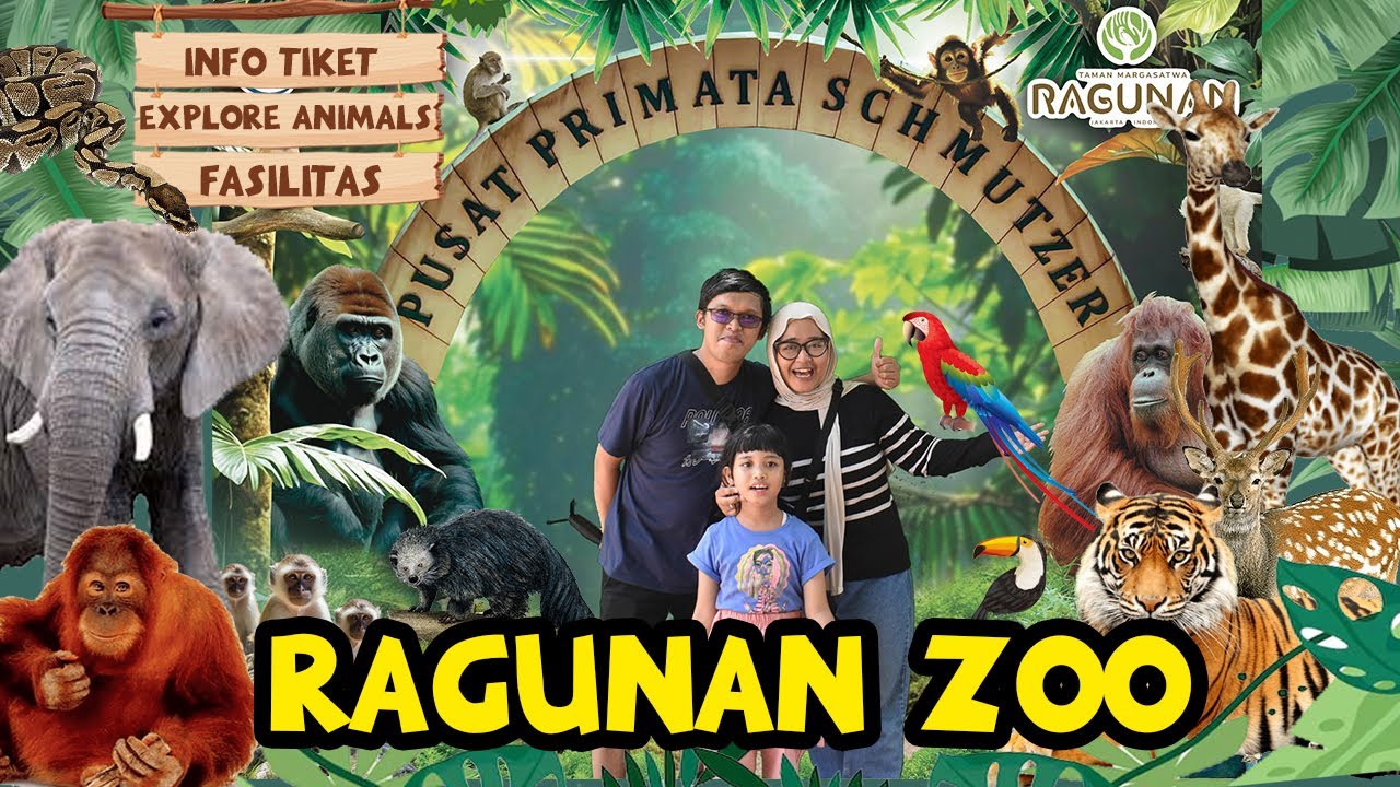 EXPLORE RAGUNAN ZOO TERBARU 2025 | Kebun Binatang Ragunan | Wisata Edukatif & Murah Meriah!