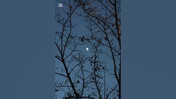 سورة الإسراء آية 79 إلى 82 الشيخ الحصري