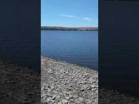 Video: Iriklinskoe-stuwmeer in de regio Orenburg: recreatie en vissen