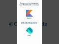 Programming & Substitute Language | CodeSquadz