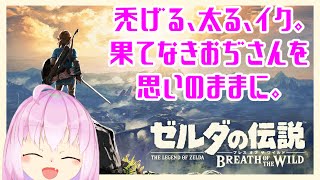 【 #ゼルダの伝説ブレスオブザワイルド 】禿げるも太るも余計だろうがよ【 #VTuber  】