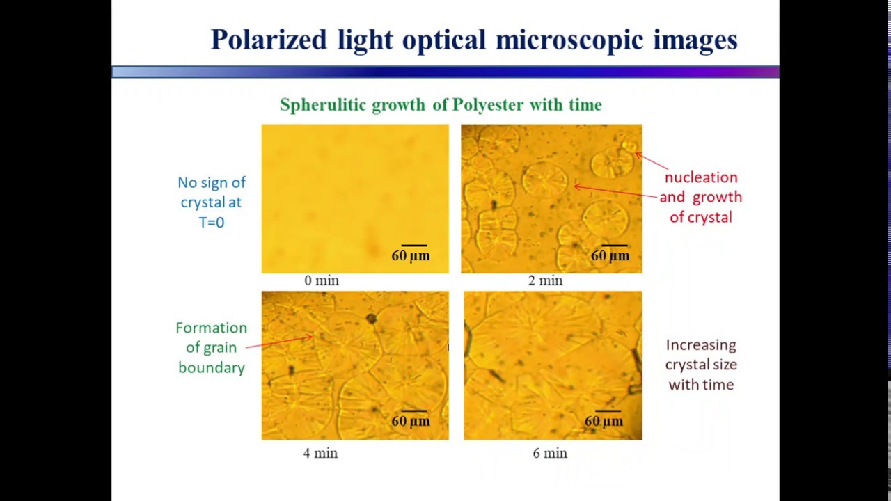 Polymer Crystal Nucleation And Growth Polarized Light Optical Polymer Crystal Nucleation And Growth Polarized Light Optical