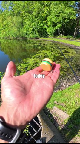 2019 tackle box Workz Battle – TackleWorkz Mickey Mouse Tackle Box Step up your fishing auto:freshwater Color:NJB - NJ Bunker