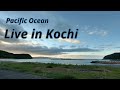 【流れ星】星空ライブ双子座流星群　太平洋ライブカメラ　田舎の漁村風景　鳥と猫　Live in pacific ocean Cats and birds【ライブカメラ】