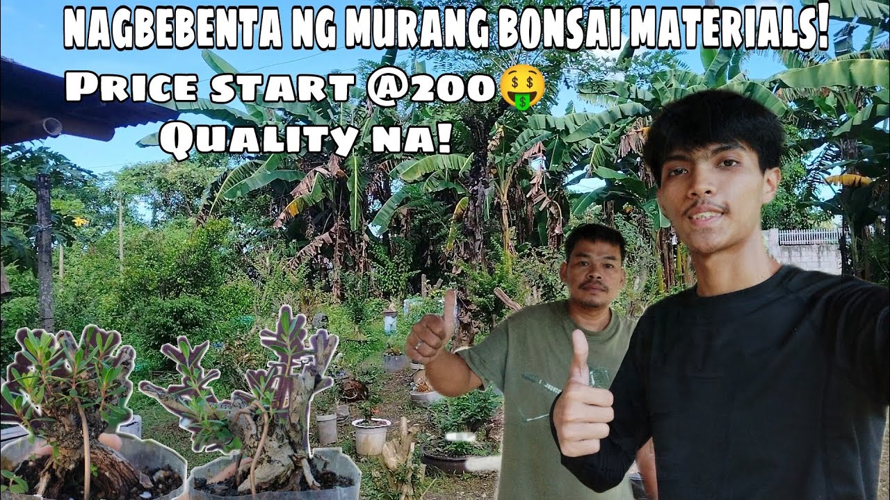 Murang Mabibilihan ng Bonsai Materials! | 200 lang?  |  Bonsai Visit  | Quality Bonsai Materials