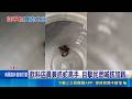 被飲料店耽誤的"抓蛇高手" 目擊民眾喊該加薪 蛇跟喇牙都不怕! 兩女霸氣"大手一揮"獲盛讚｜記者 許書維 施凱文 葉信葳｜三立新聞LIVE