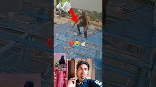 Download Lagu kabootar ki video 😭💔🕊️#pigeon #birds #animals #pets #attitude#pigens #bird #kabootar#pyra MP3