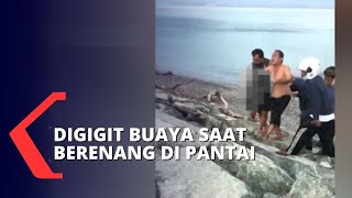 Warga Digigit Buaya Saat Berenang di Pantai, BKSDA: Habitat Buaya Semakin Sempit