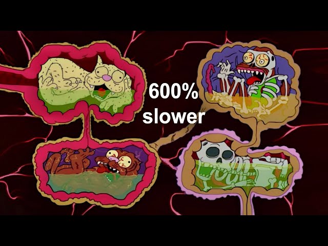 The Simpsons - Cat digested inside a Cow 600% slower class=