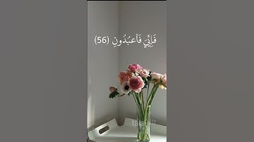 تلاوات من سورة العنكبوت القارئ عبد الرحمن مسعد #سورة_العنكبوت #قرآن #عبدالرحمن_مسعد #القرآن_الكريم