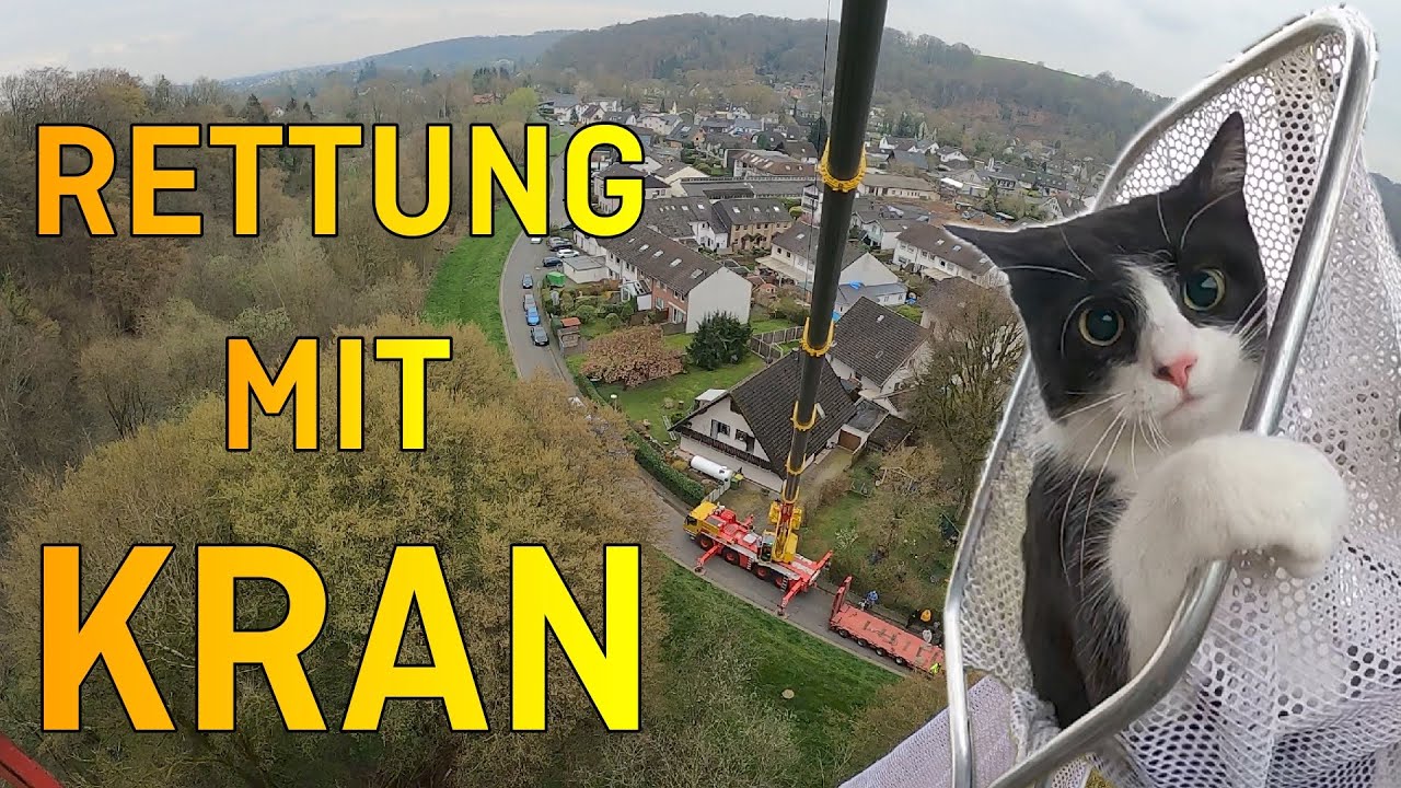 Katze mit Kran gerettet | Tiernotruf #356