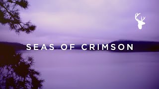 Seas of Crimson (Official Lyric Video) - Brian Johnson | We Will Not Be Shaken chords