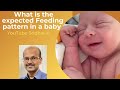 What is the expected feeding pattern in babies dr sridhar k