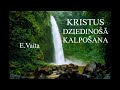 E.Vaita "Kristus dziedinošā kalpošana"