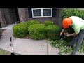 Melt Away Your Stress & Watch Me Trim Unruly Hedges | Relaxing Lawn Care