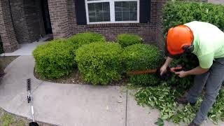 Melt Away Your Stress & Watch Me Trim Unruly Hedges | Relaxing Lawn Care