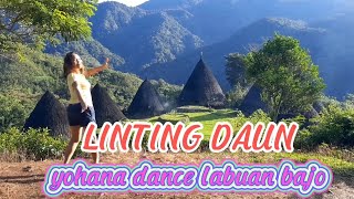 LINTING DAUN // MINANG REMIX // CHOREO YOHANA DANCE LABUAN BAJO // YDLB