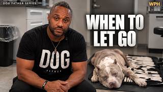When to Put a Dog Down | How Do You Know When It's Time