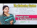 Endocrine system  thyroid gland  parathyroid gland  the endocrine gland  part2