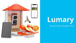 Lumary Smart Bird Feeder Pro