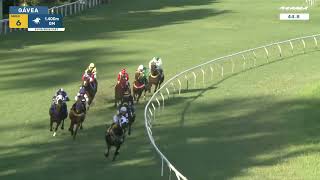 Vidéo de la course PMU PREMIO SEU LEVY