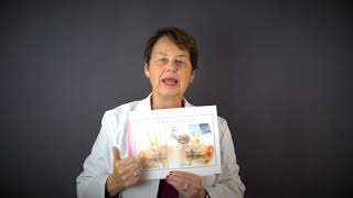 How Do We Hear Auditory System Overview