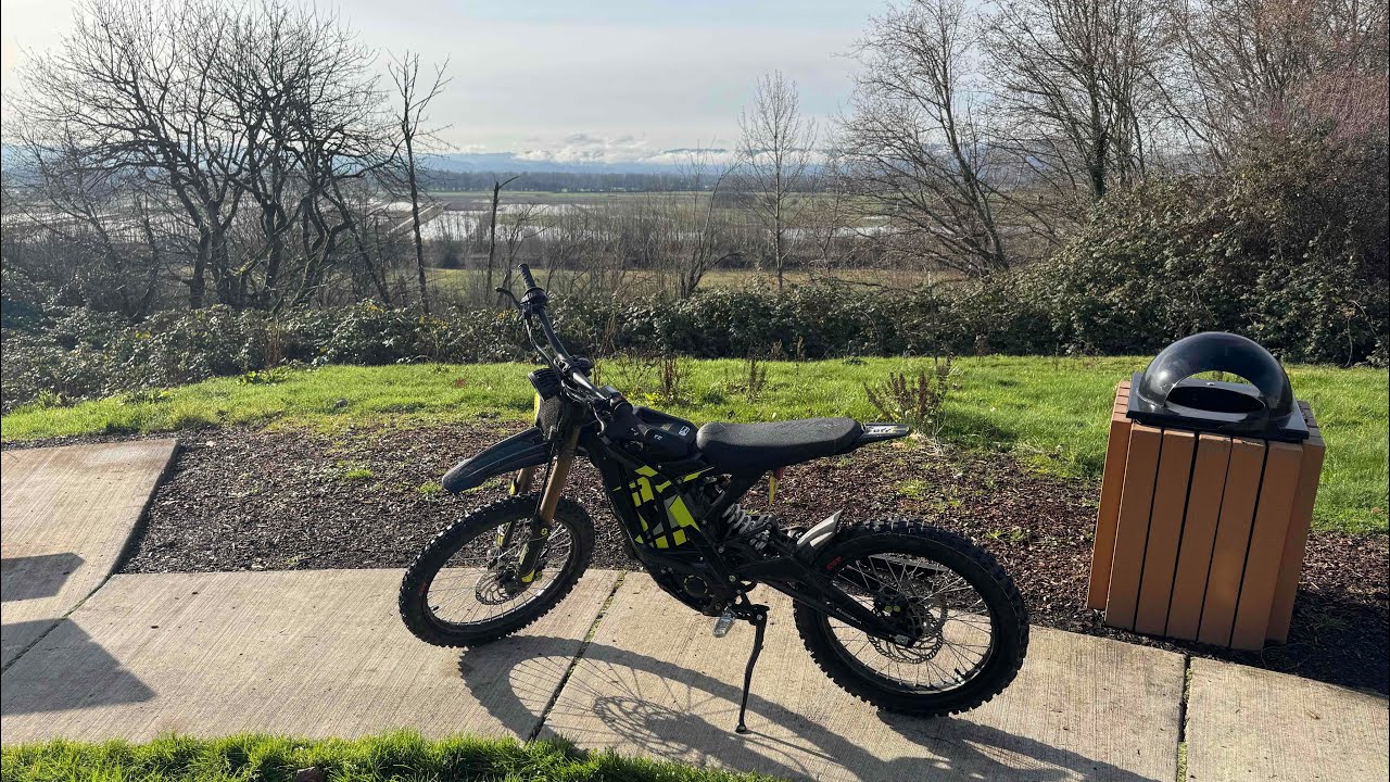 NEW SURRON LIGHT BEE