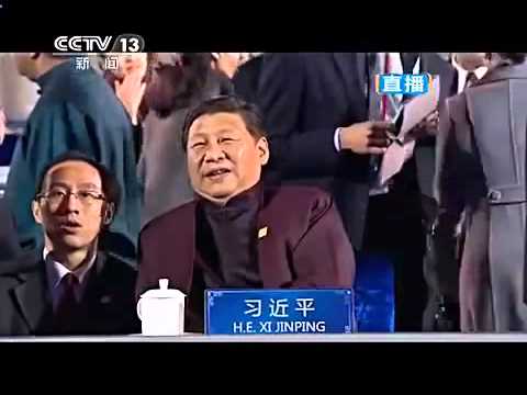 Смотреть Выставка Кошек - Женский Пуховик Royal Cat