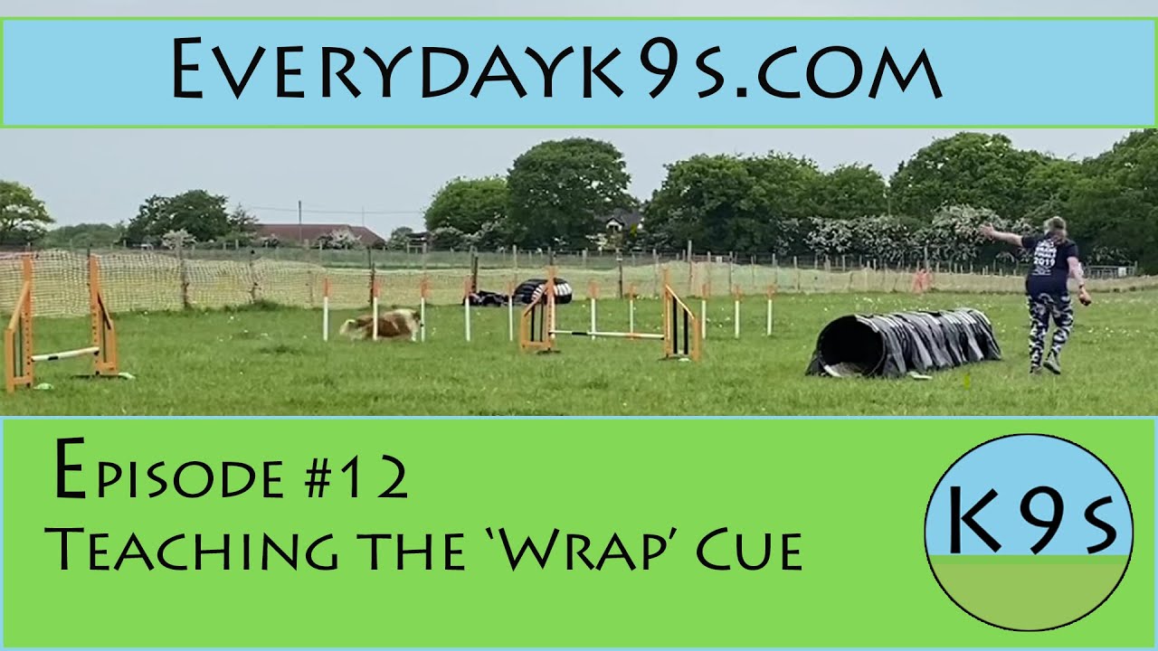 Distance Handling 101 - Foundation Skills: Episode 12 - Adding the 'Wrap' cue to a cone