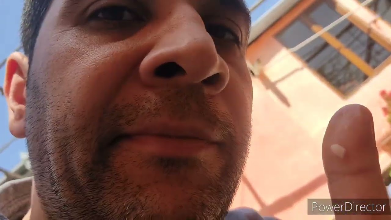 Cücələrə bulgurun verilmə qaydası və mükəmməl nəticə