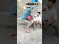 तू समझा ||🤣😂 #trending #video #real video #funny shorts #comedy #video #entertainment #youtube