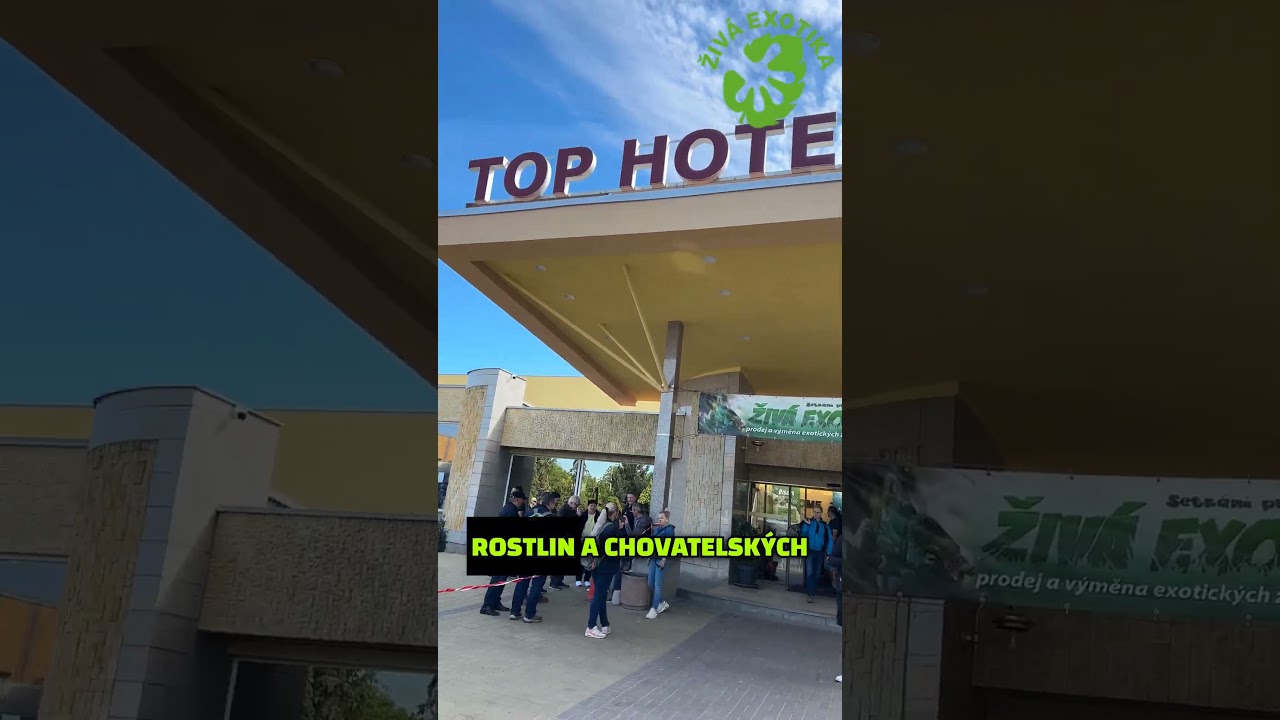 POSLEDNÍ AKCE PŘED PRÁZDNINAMI! 