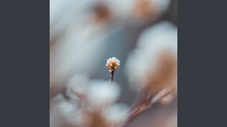 Everything Else Fades Away