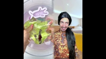 #illustration #tattoo #art #pov #procreate #drawing #whydidntmyexcomeback #digitalart