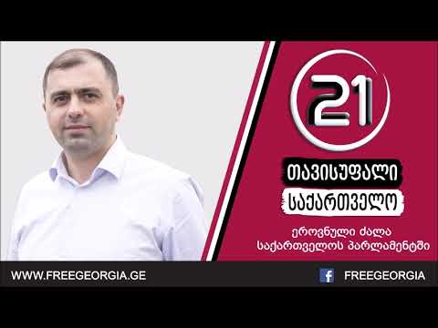 „თავისუფალმა საქართველომ“ სამეგრელოს რეგიონის მაჟორიტარი დეპუტატობის კანდიდატები წარადგინა