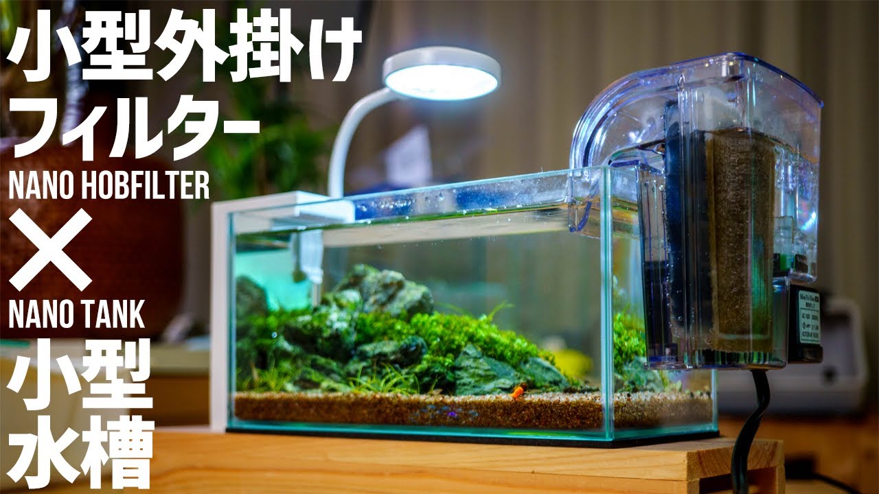 No maintenance small aquarium How is the performance of the ultra-small  outer filter? ?? #Aquarium - YouTube