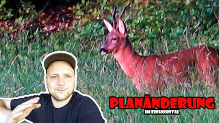 PLANÄNDERUNG im Einhorntal; es geht in den Bestand  / RevierLeben // Vlog 64 by Ich geh jagen 7,391 views 1 year ago 21 minutes