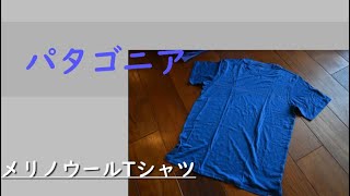 山旅旅 登山道具紹介 パタゴニア キャプリーン クール メリノ 速乾性を備えたメリノウールtシャツ Youtube