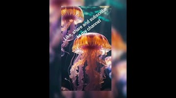 3rd STD EVS Lesson no.13 Facilities For Our Use full notes